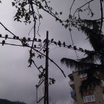 IMAG0487