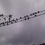 IMAG0488