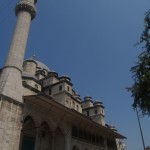 P1018590