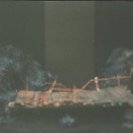 aks8